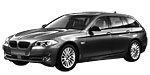 BMW F11 P1A79 Fault Code